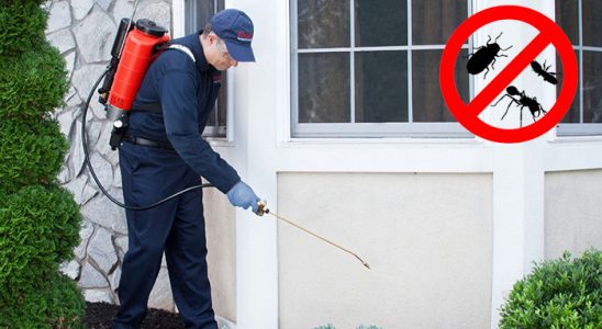 Tortum Akrep İlaçlama böcek ilaçlama ve haşere kontrolü — ilaclama-tr.com